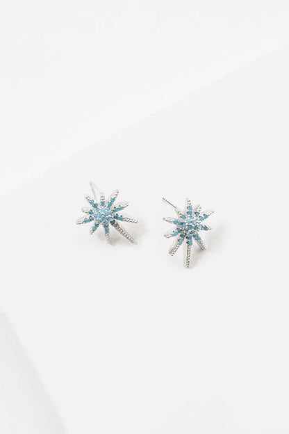 Carina Star Earrings Lovoda