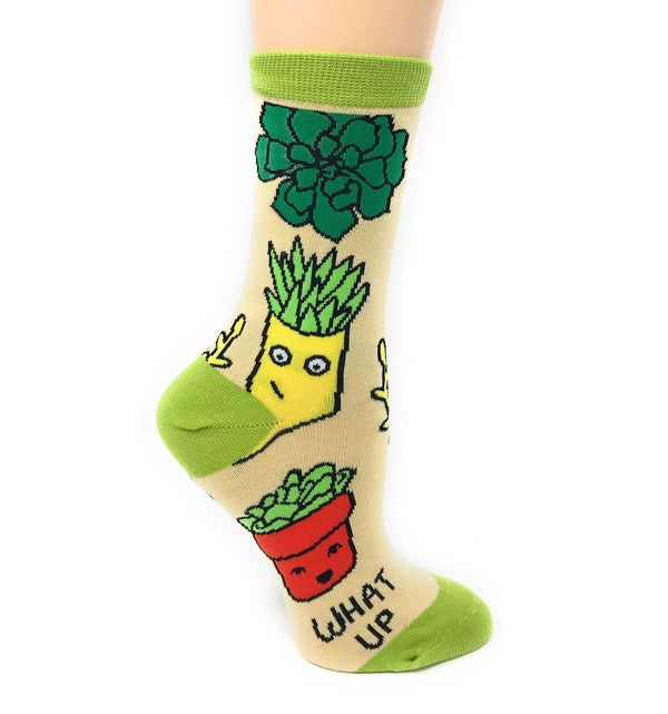 What Up Succa - Women's Funny Socks