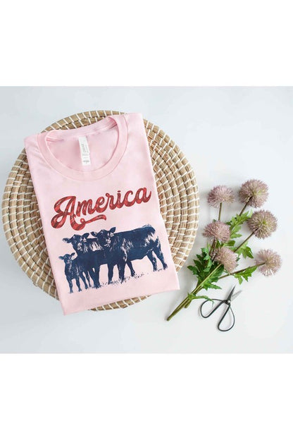 AMERICAN CATTLE T-SHIRT PLUS SIZE