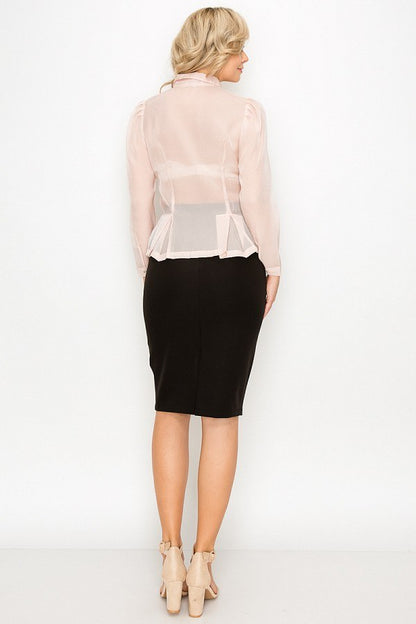 Organza Pleated Long Sleeve Blouse